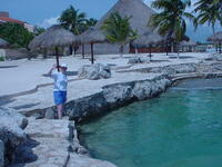 Dream Puerto Aventuras reviews