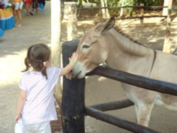 Kids of all ages love Pedro the Donkey who lives at the Sandos Caracol Eco Resort & Spa